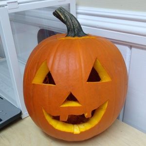 Meet your Posher, Samriti